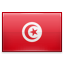 shiny Tunisia icon